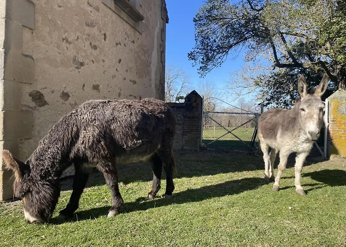 Calme Et Lumineux Dans Propriété De Caractère Avec Piscine - Fr-1-489-557 Hébergement de vacances Meillard